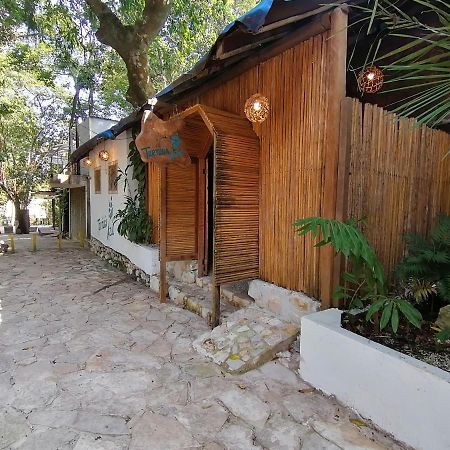 Casa Tortuga Azul Hotell Palenque Exteriör bild